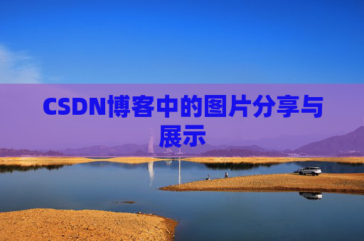 CSDN博客中的图片分享与展示